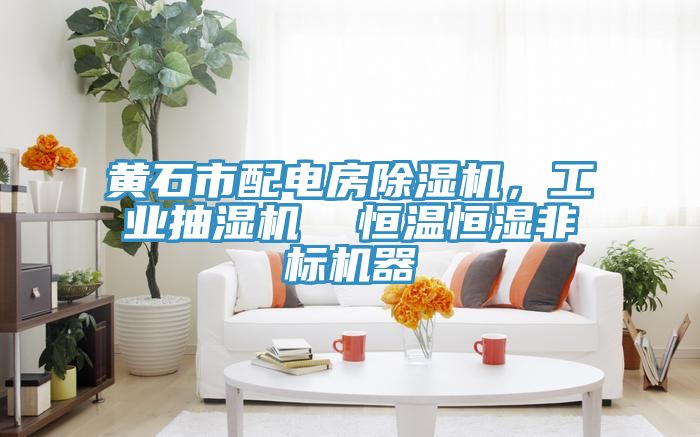 黃石市配電房除濕機(jī)，工業(yè)抽濕機(jī)  恒溫恒濕非標(biāo)機(jī)器