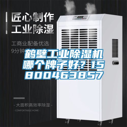 鶴壁工業(yè)除濕機哪個牌子好？15800463857